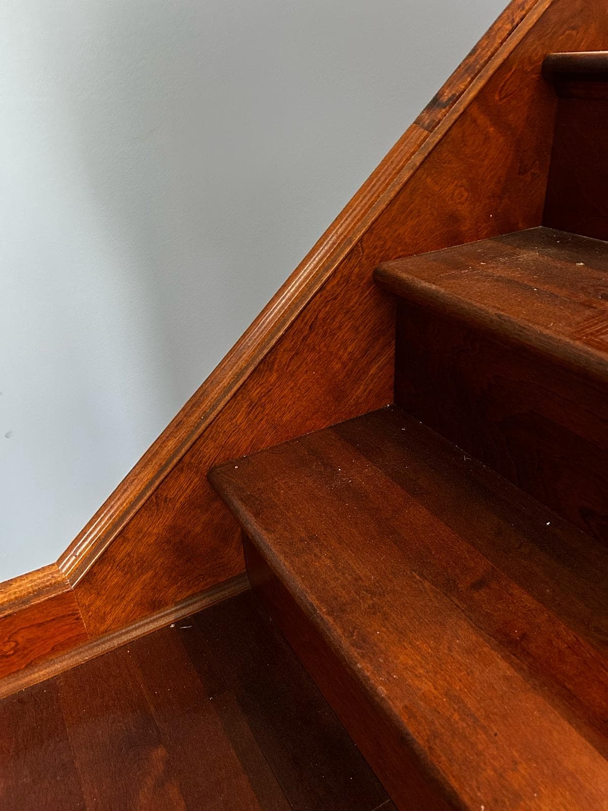 Modern Stair Renovation — image 2